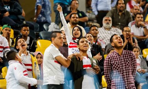 zamalektoday|zamalek fans.